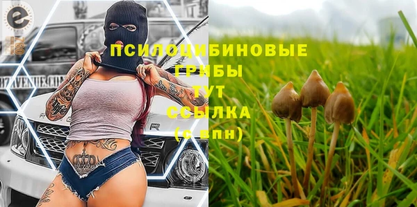 альфа пвп Дмитров