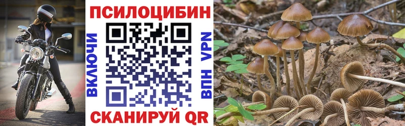 omg маркетплейс  Ивдель  Псилоцибиновые грибы Magic Shrooms 