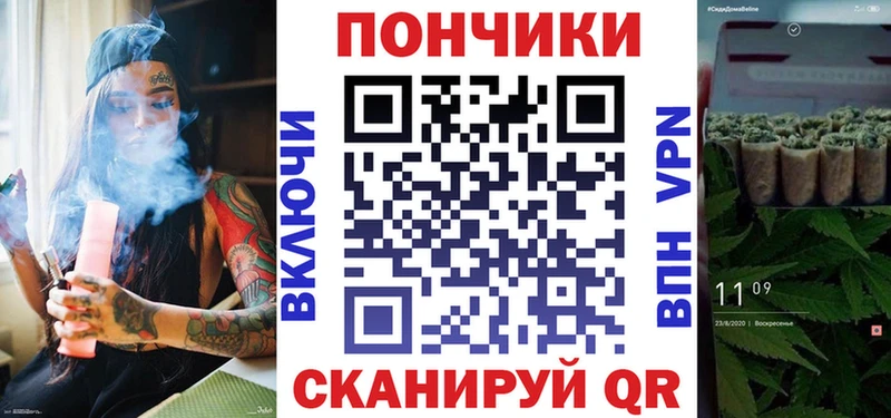 darknet какой сайт  Ивдель  Каннабис план  купить  цена 